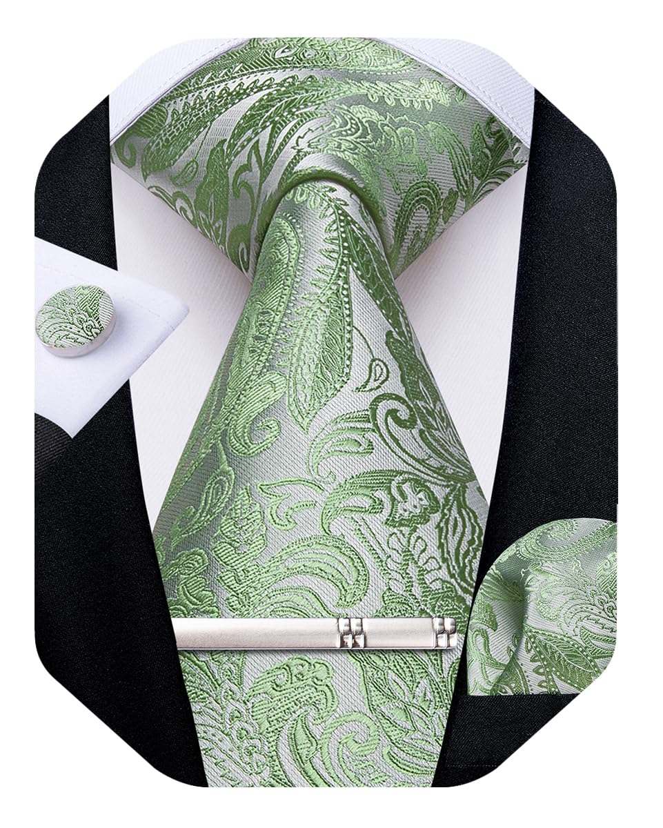 DiBanGu Silk Floral Ties for Men Woven Paisley Necktie