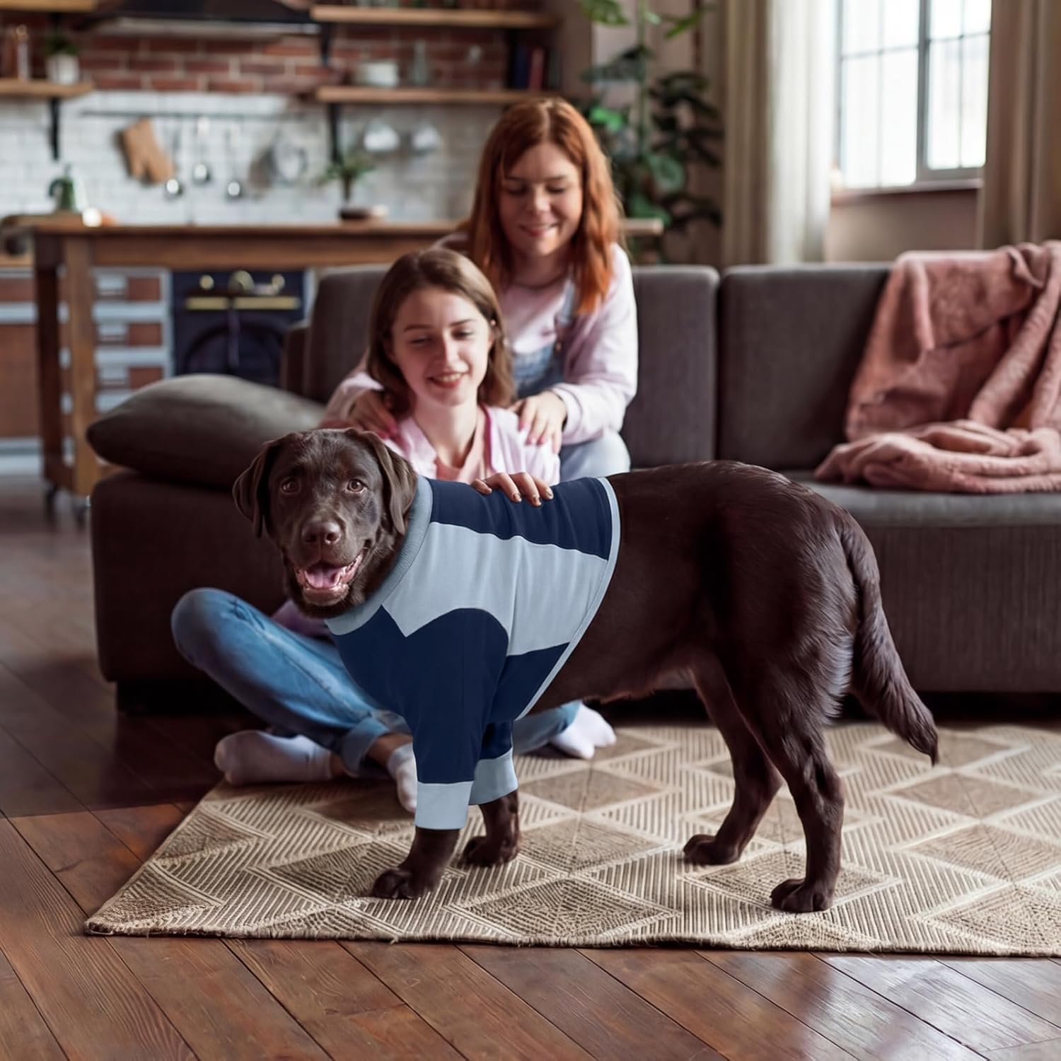 Lelepet Dog Recovery Suit for Front Legs,Chest,Shoulder After Surgery,Long Sleeve Dog Shirt to Stop Licking Male/Female,Elbow Protector for Front Legs Arms Wounds Cover,Cone Alternative(XS-3XL)