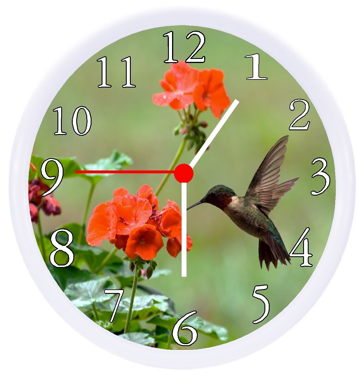 10 Hummingbird Clocks The Perfect Gift for Bird Lovers Hummingbirds Plus
