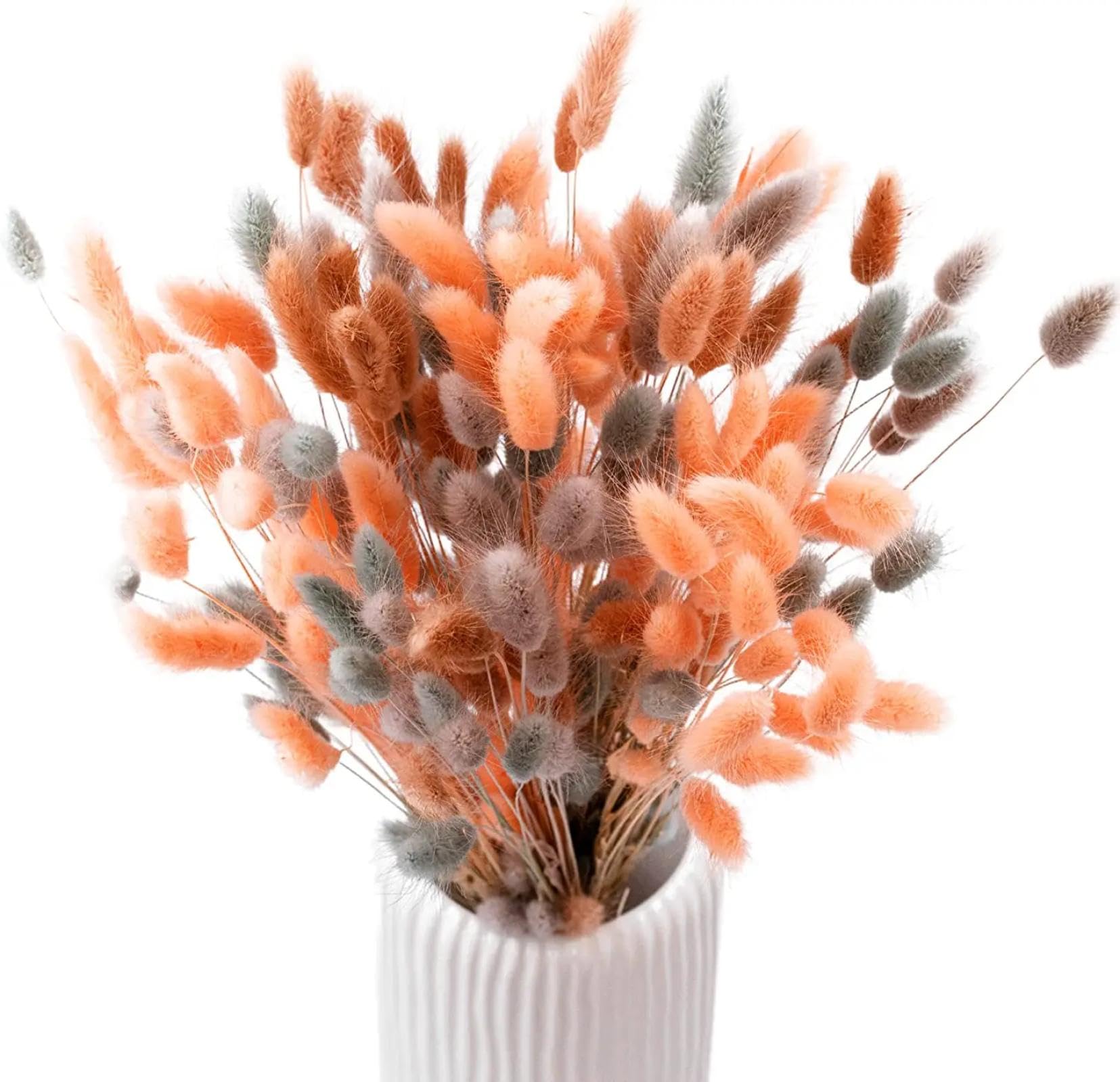 Decoración bohemia para habitación, 100 ramos de conejo naturales secos de 45 cm, cola de conejo, flor de lagurus seca, hierba de las pampas, para fiestas, bodas, decoración del hogar, estilo 3
