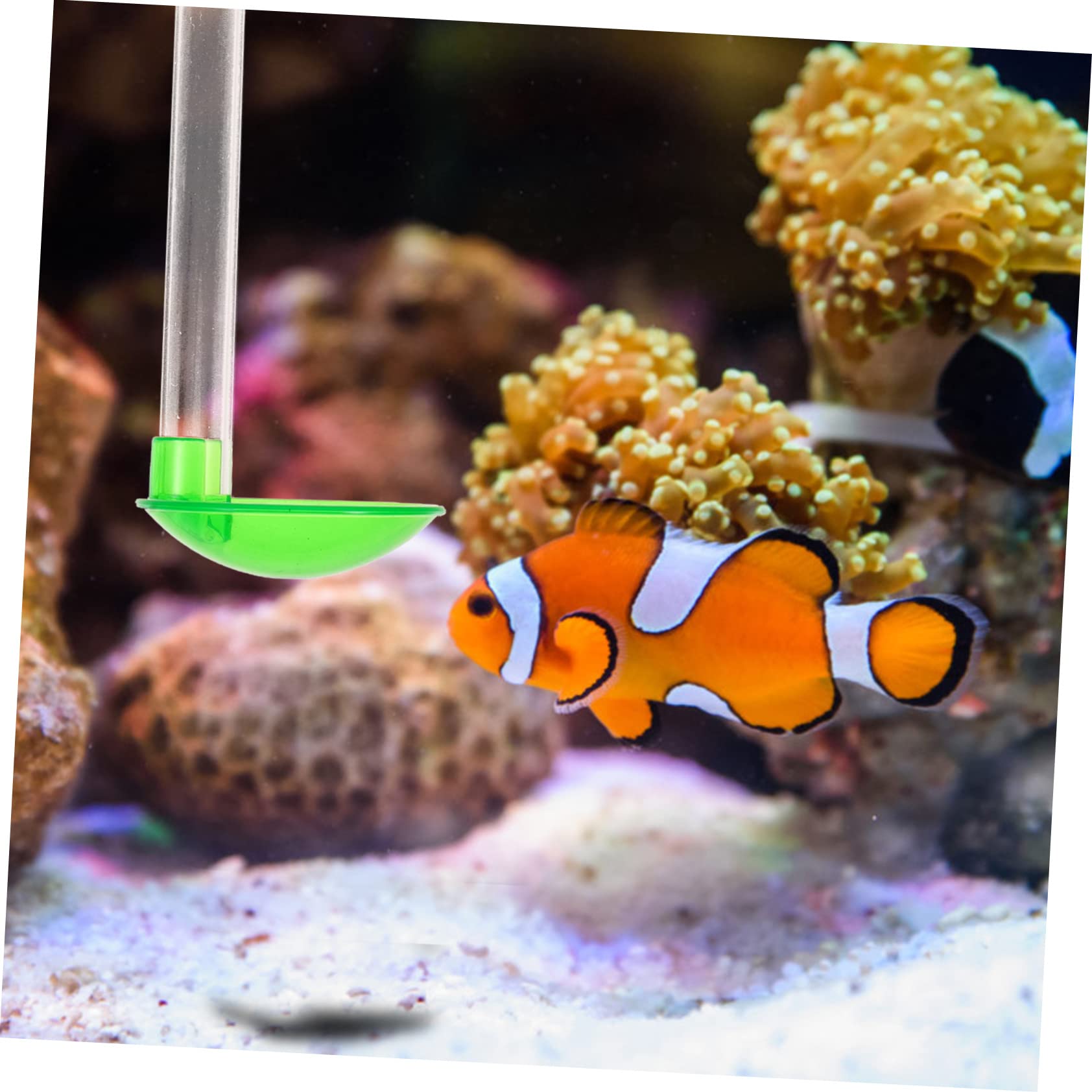 Didiseaon 3juegos Alimentador De Camarones para Acuarios Comedero Colgante Diseño De Gancho Fácil Instalación y Limpieza para Acuarios De Agua Dulce y Salada