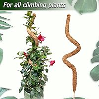 Vista 4 de Poste de musgo de 60 pulgadas para plantas Monstera, postes de musgo altos y flexibles para plantas trepadoras de interior, palos grandes hechos a