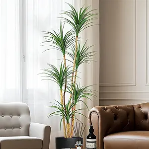 6FT Dracaena Trees Artificial Indoor Tall Faux Tree with Natural Wood Trunk and Moss, Tall Artificial Plants Artificial Silk Tree Faux Tree with Lifelike Yucca Leaves for Home Office Yard Patio Decor