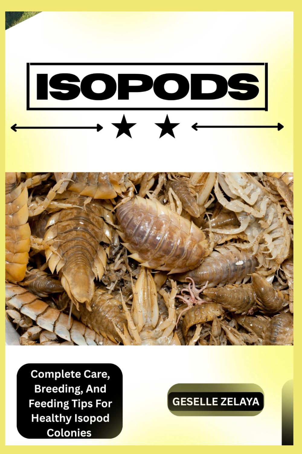 ISOPODS: Complete Care, Breeding, And Feeding Tips For Healthy Isopod Colonies