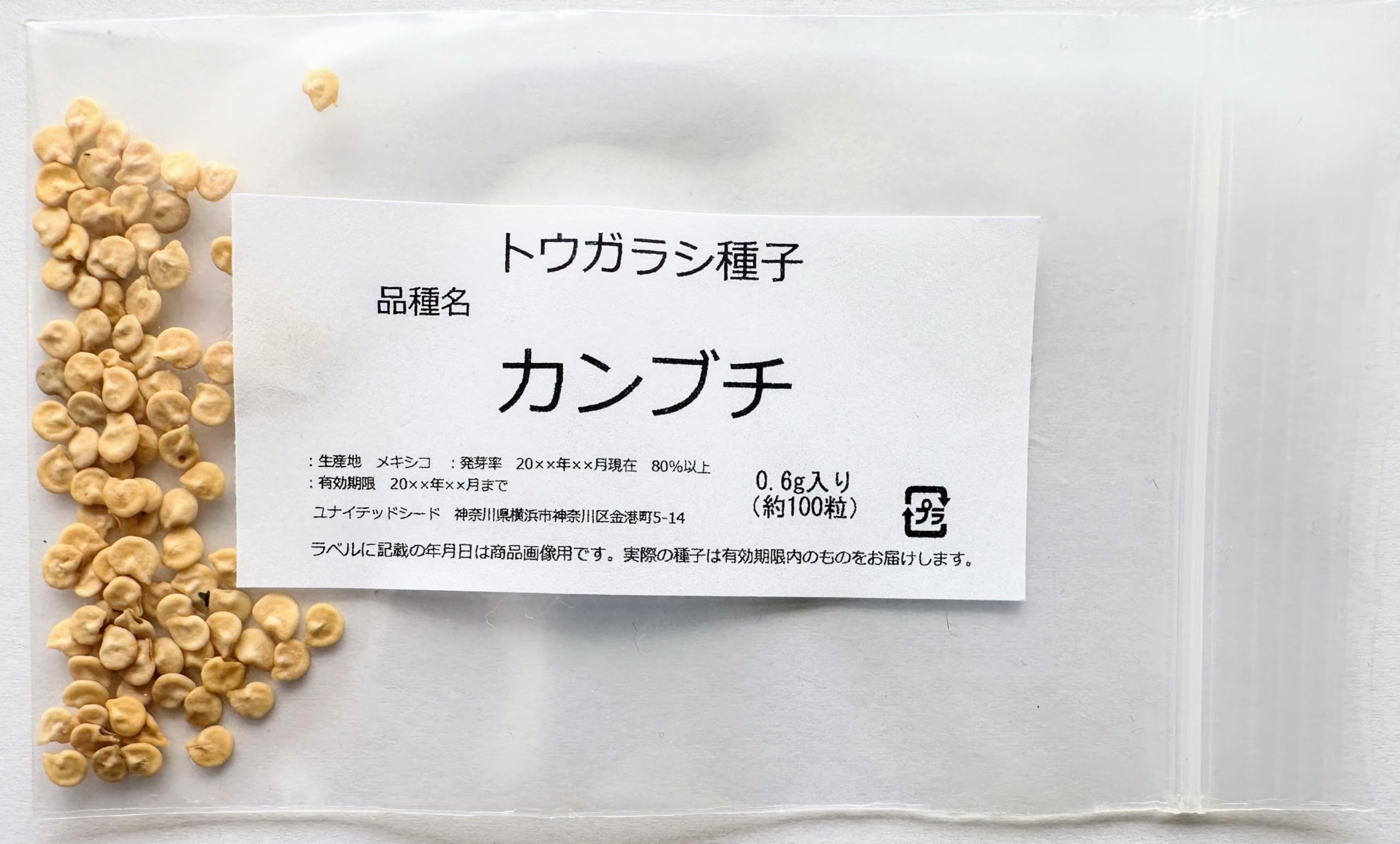 トウガラシ種子 （ピメンタ・カンブチ） (種子6g入り（約1000粒）) Amazon.co.jp: トウガラシ種子 カンブチ Pimenta Cambuci（ピメンタ