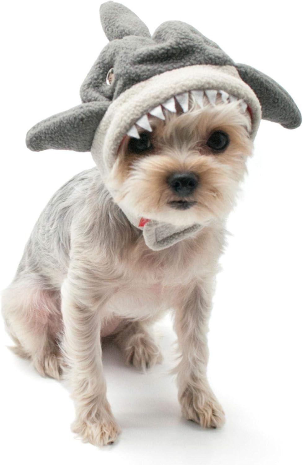 Dog shark hat Clearance
