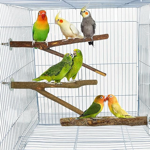 Foto 7 de 8 de 4 Piezas Perchas Naturales para Pájaros, Madera Natural para Pájaros, Pájaro Soporte de Madera Natural