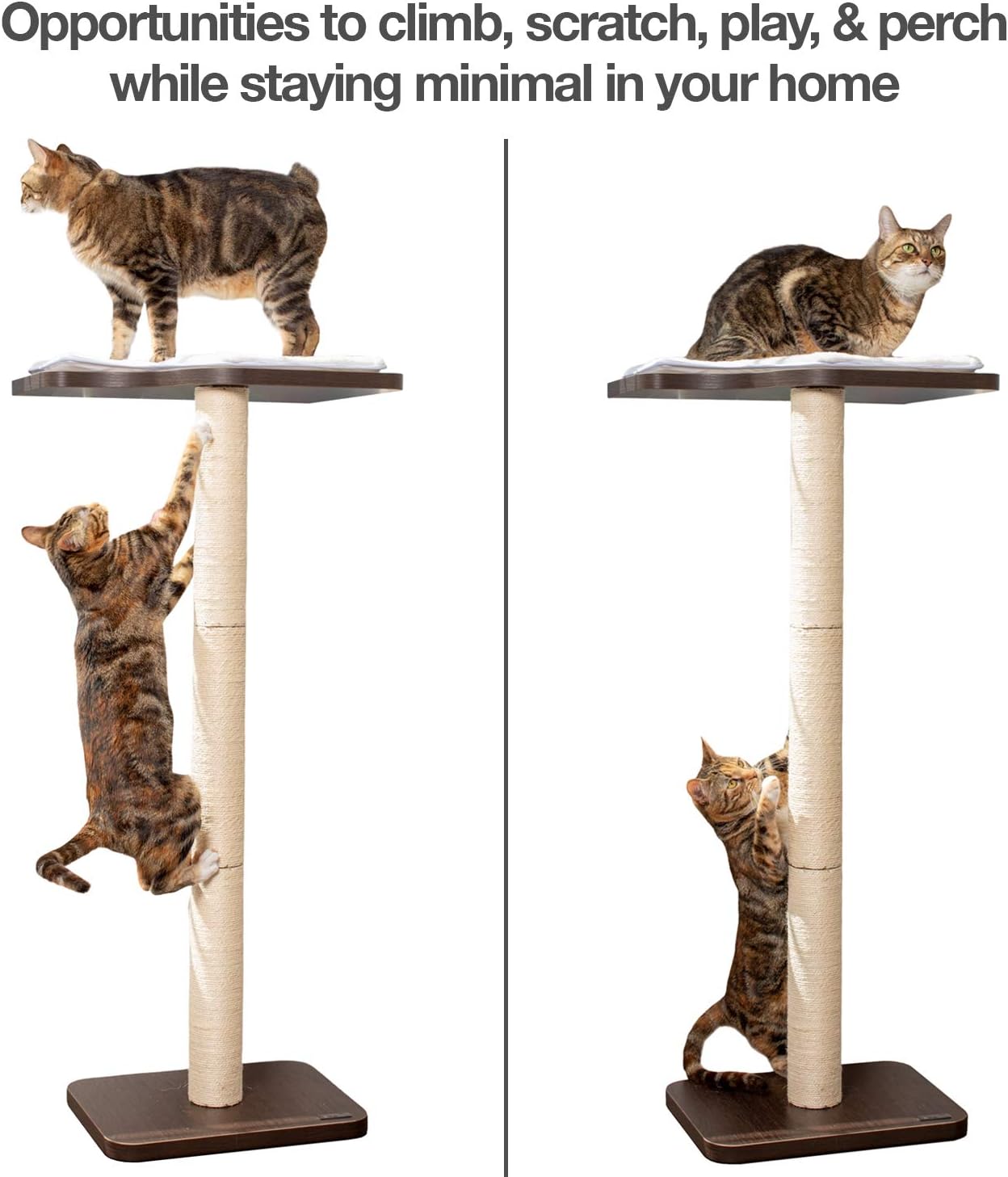 cat scratching post and perch