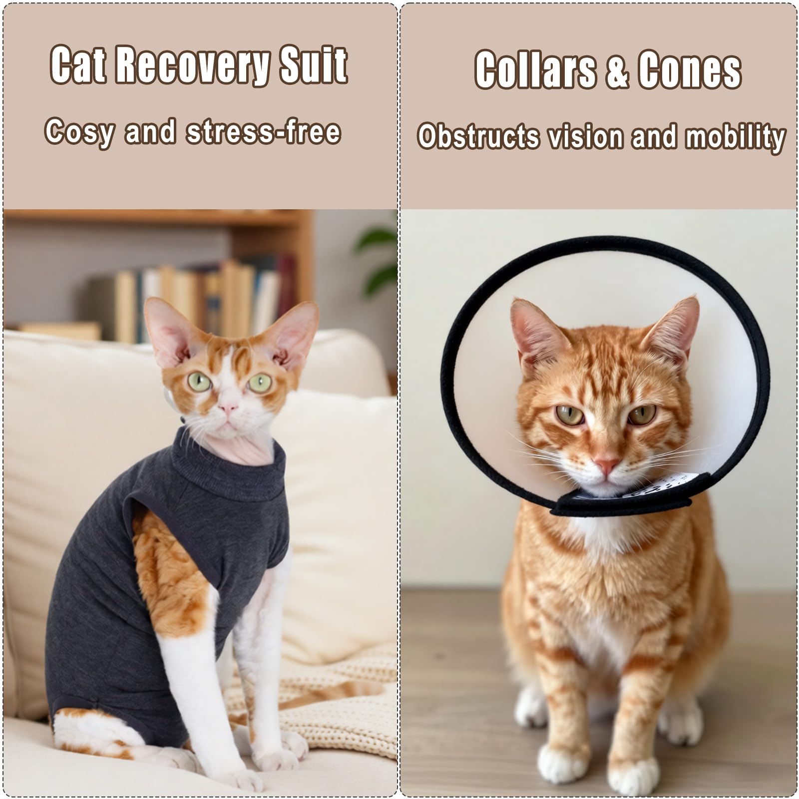 Combinaison de convalescence chirurgicale pour chat - Body pour chat - Body anti-léchage avec fermeture éclair post-opératoire - Combinaison médicale de convalescence pour chaton - Combinaison