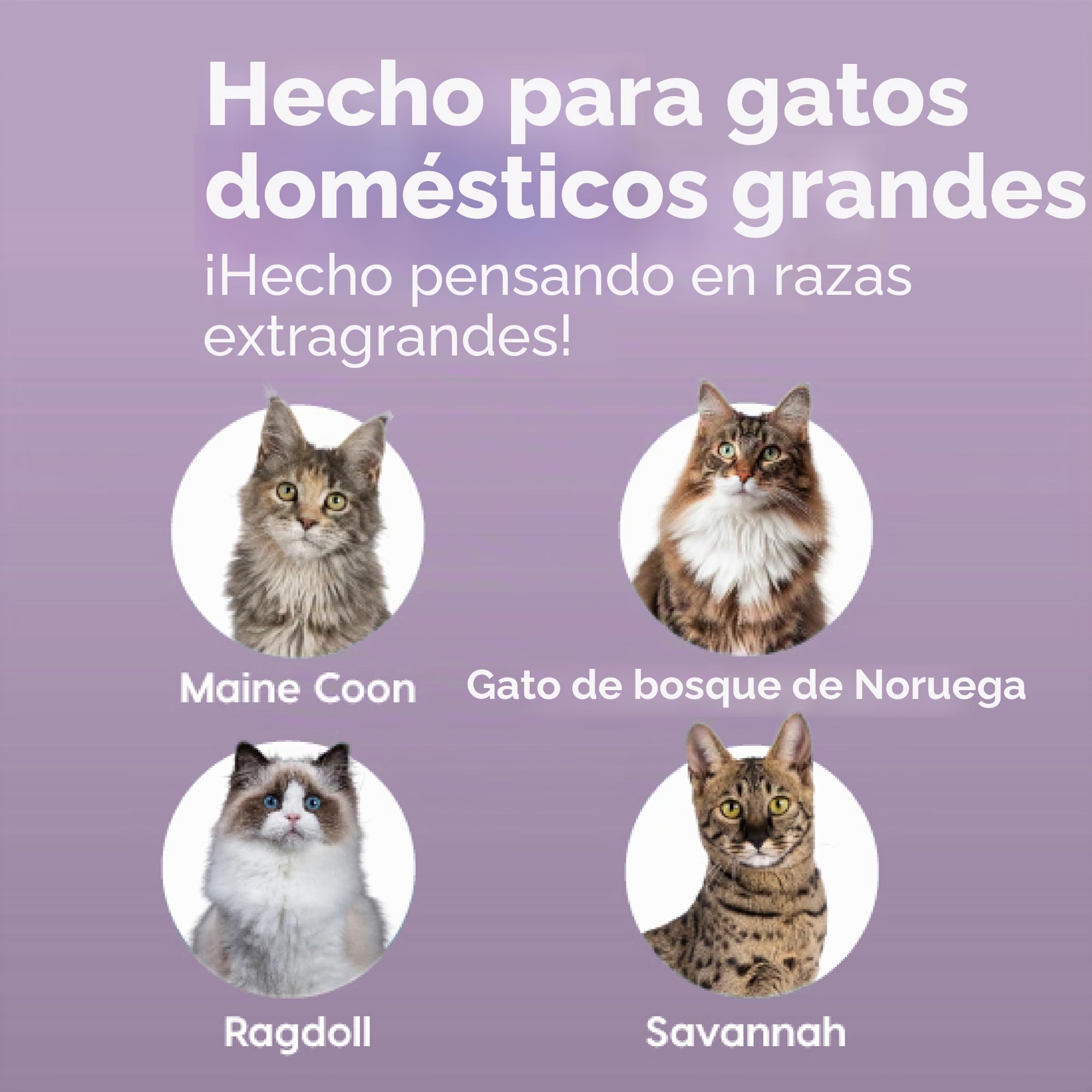 IRIS USA - Caja de arena extragrande para gatos grandes y hogares con múltiples gatos, protector de dispersión de cara alta, fácil de limpiar, 30 pulgadas de largo x 20 pulgadas de ancho x 14 pulgadas