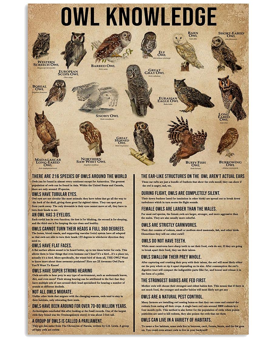 peiyeety Owl Knowledge Metal Tin Signs Owl Information Retro Poster Popular Science Educational Charts Wall Plaques Decor For Home Classroom Room Office 8x12 Inch