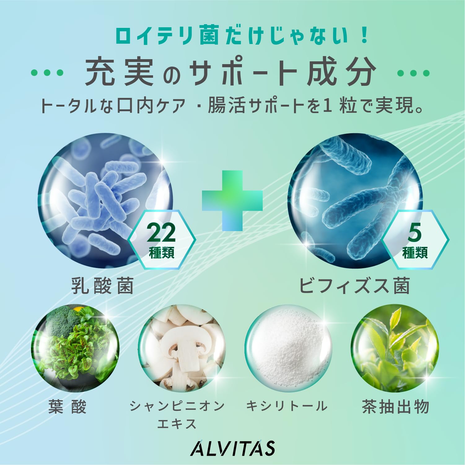 エリナ ロイテリナ 3個 ロイテリ菌 賞味期限2027年5月以降 正規品 ロイテリナ チューワブル タブレット｜商品情報｜株式会社エリナ