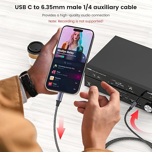 Cable USB C a 6.35mm TRS 1m MOSWAG para Audio miniatura 6