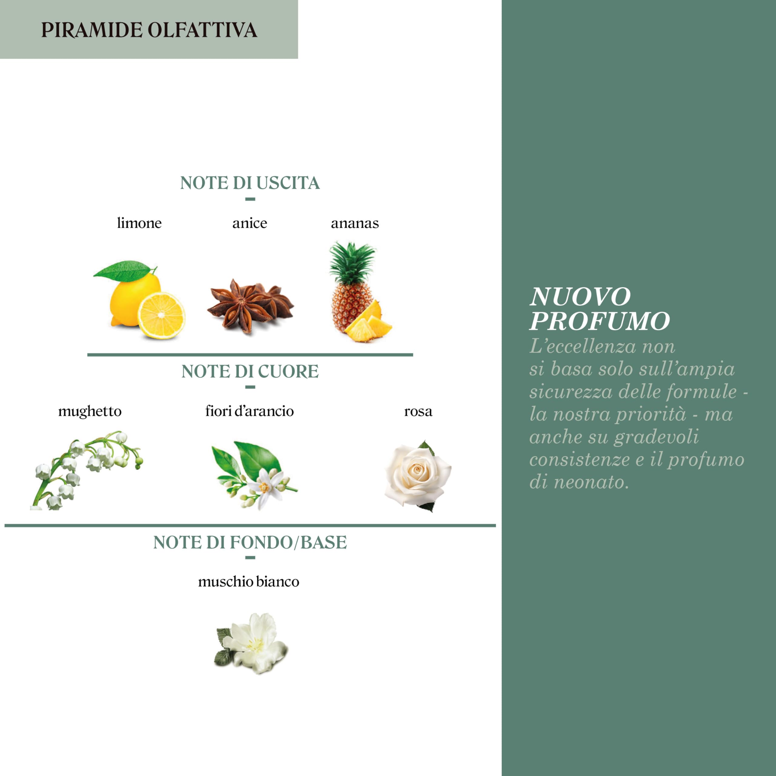 Suavinex Latte Corpo Idratante Neonato 500 ml Crema Pelli Sensibili Texture Leggera Assorbimento Facile 95% Ingredienti Naturali Prebiotici