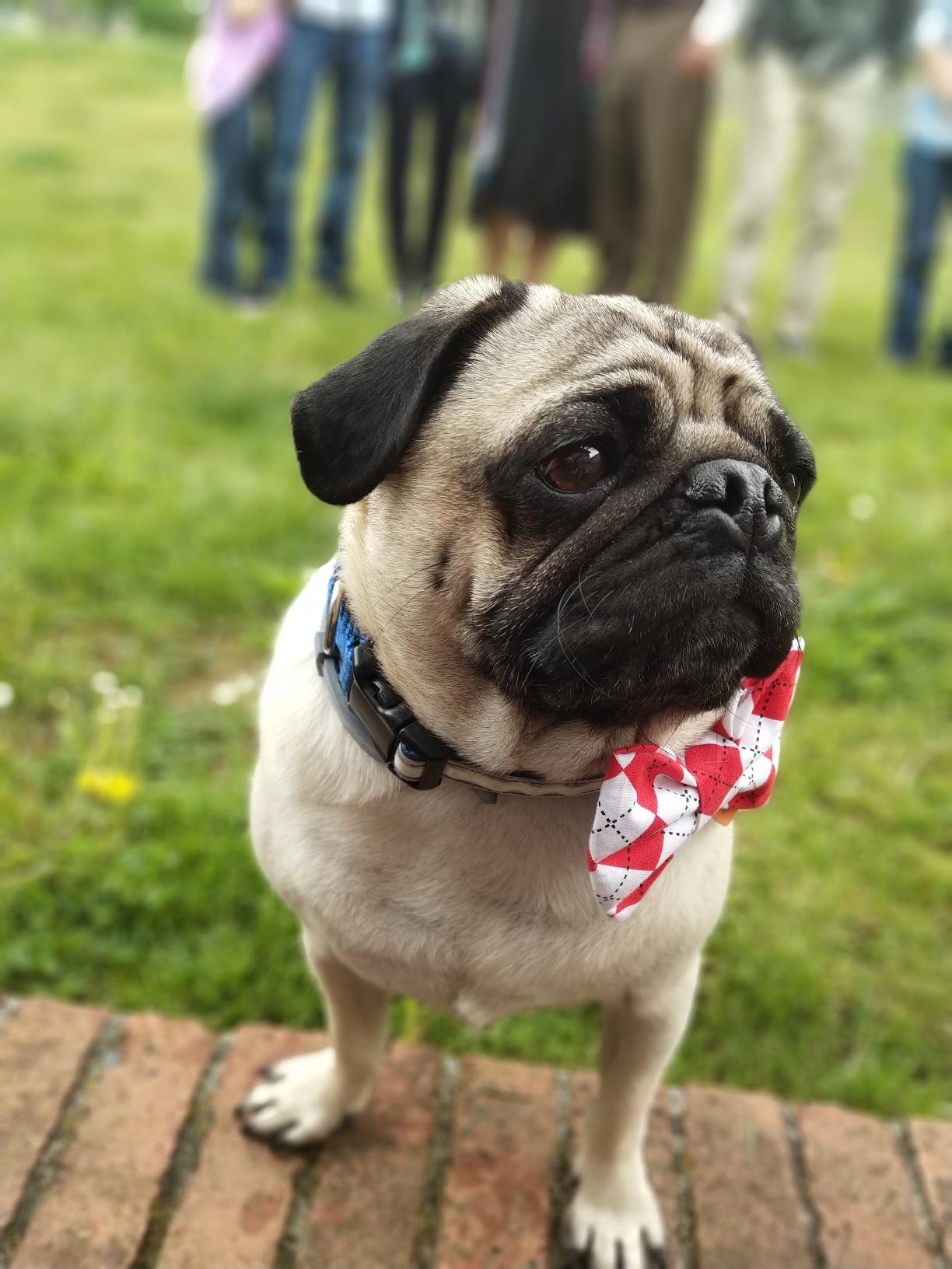 Straighttalk Verizon Users - Read