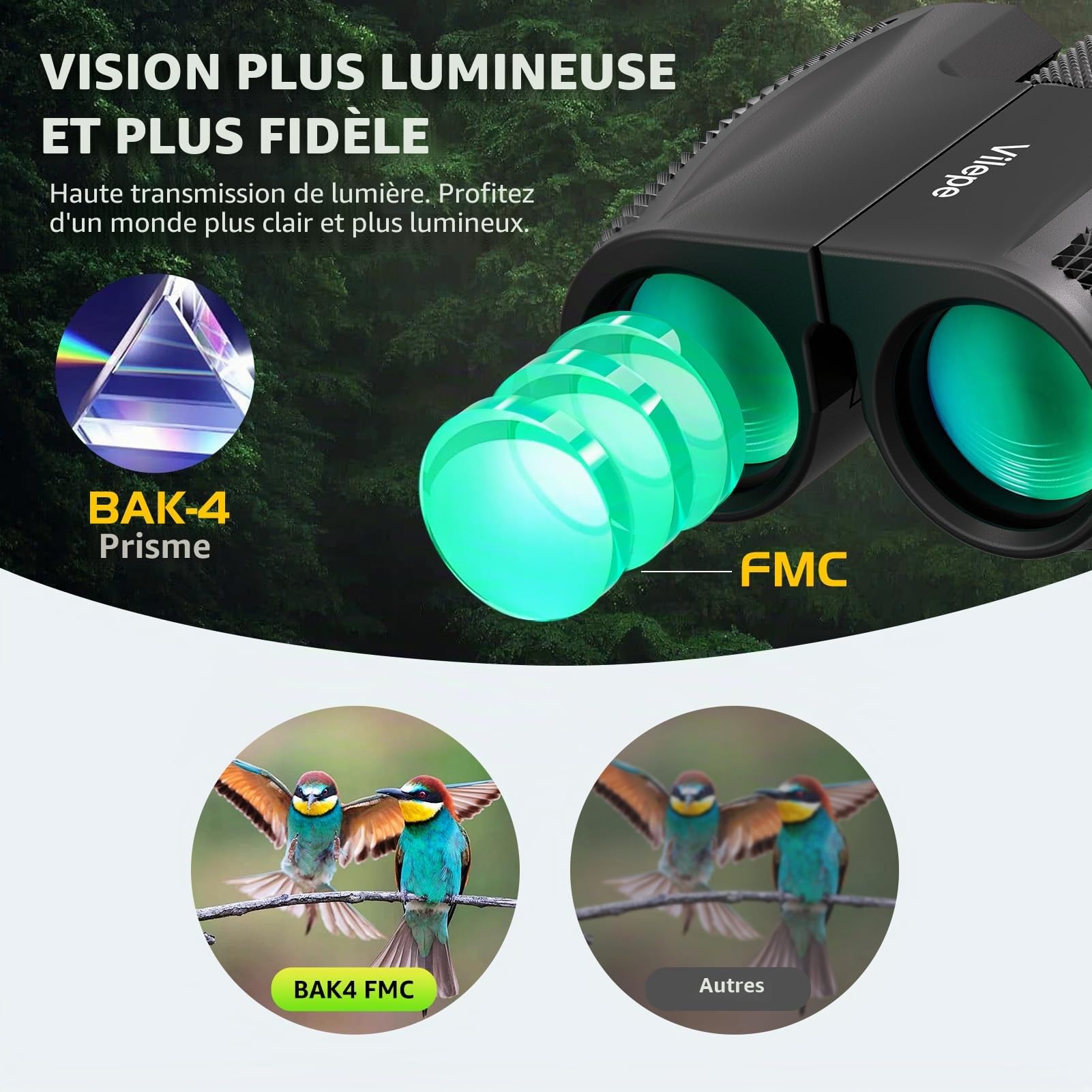 Mini Jumelles compactes Portables 10 x 25 - Lumière Faible Claire et Pliable - Idéales pour Les activités de Plein air telles Que la randonnée et l'observation des Animaux pour Adultes et