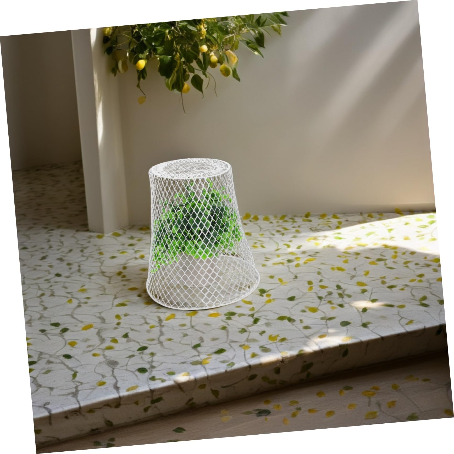 Toyvian 1 Ensemble Cloche de Protection pour Plantes de Cages de Jardin pour Semis Fruits Protection Fiable Intempéries pour Petits