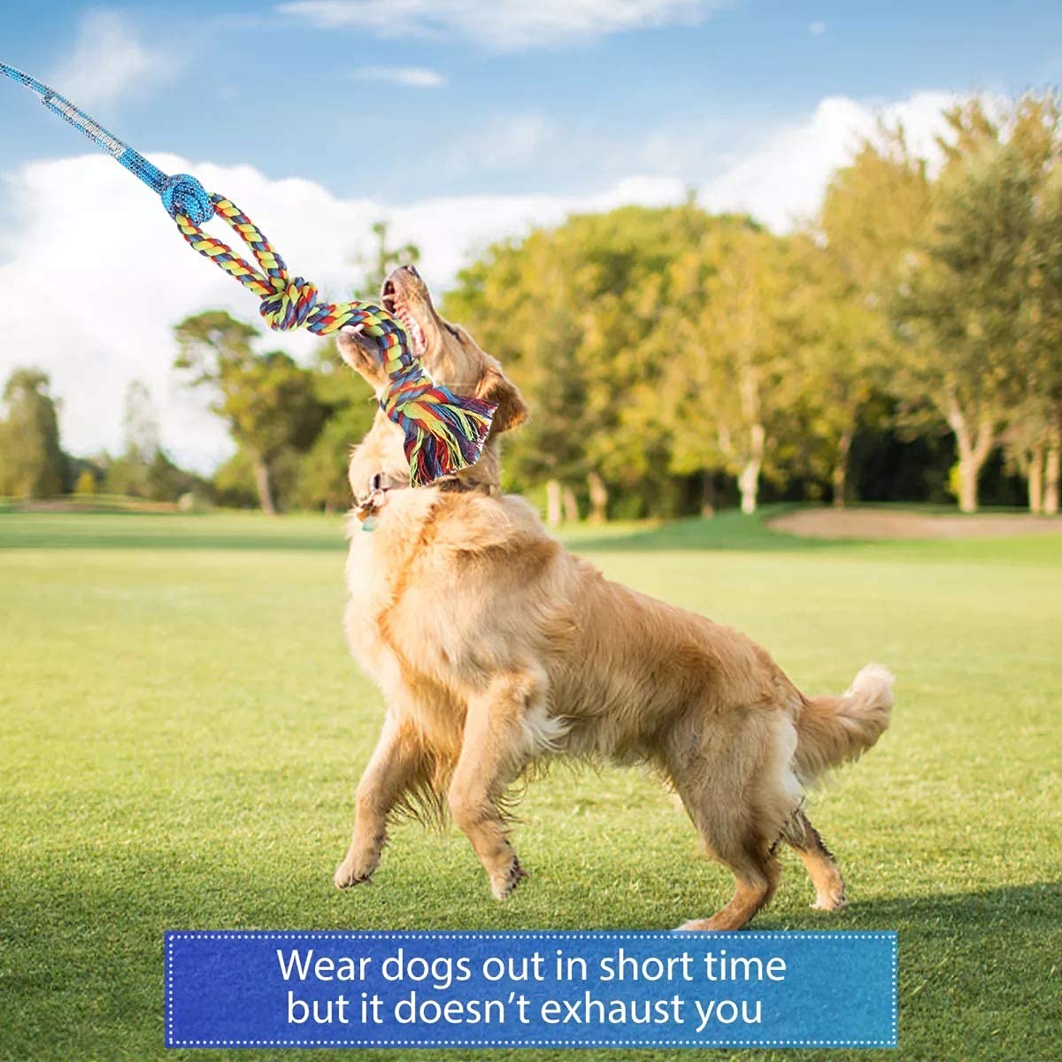 DIBBATU Hundespielzeug, Interaktive Teaser-Zauberstab für Hunde, Tauziehen und Outdoor-Übungen, Tether-Lure-Spielzeug mit Kaureif für kleine Hunde