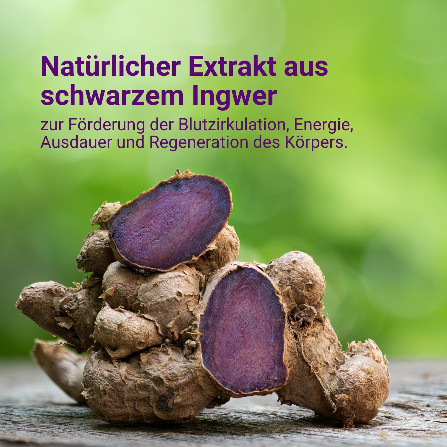 Carnium Botanicals Black Ginger Extrakt, 30 Kapseln | Vegane Ingwer Kapseln, Glutenfrei, Laktosefrei, Bio Ingwer Extrakt