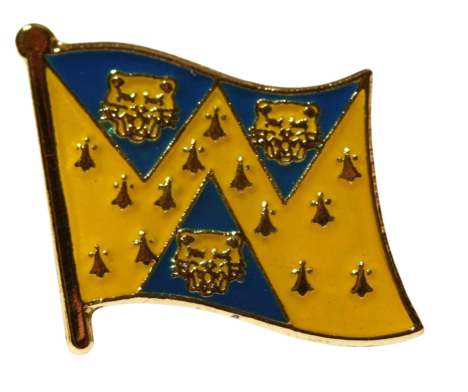 Shropshire County Flag Pin Badge