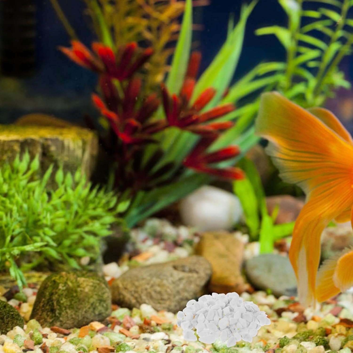 VICASKY White Polished Pebbles for Succulent Plants and Aquarium Landscaping, 2lb 8-12mm Natural Decorative Stones for Garden Pathways and Flowerpot Gravel