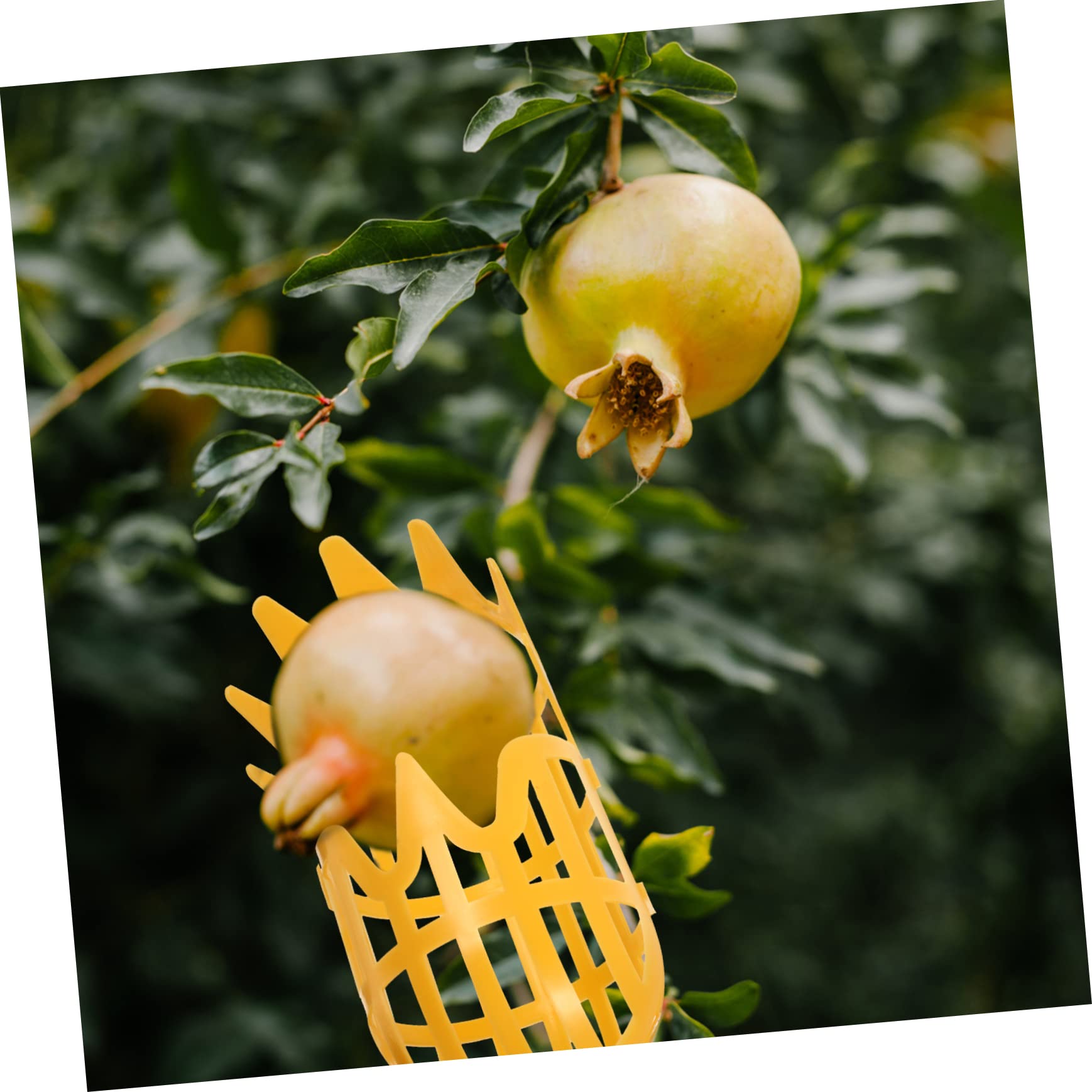 Mipcase 3sets Gardening Picking Baskets Fruit Harvesters Fruit Picker Farm Fruit Container Made of Sturdy Material 2pcs*3