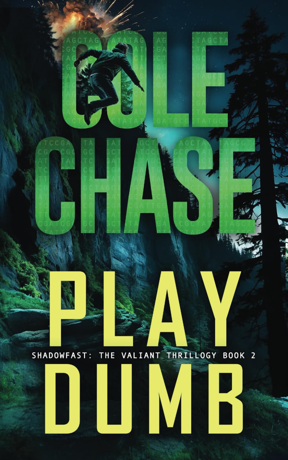 Play Dumb: Shadowfast — The Valiant Thrillogy, Book 2