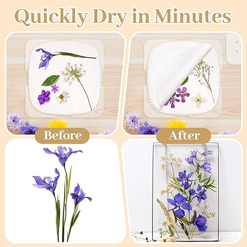Miniatura 2 de suziko Prensa de flores (6.3 x 6.3 pulgadas) Suziko - Prensa de flores secas en cuestión de segundos, kit de prensa de flores de 6.3 x 6.3 pulgadas,