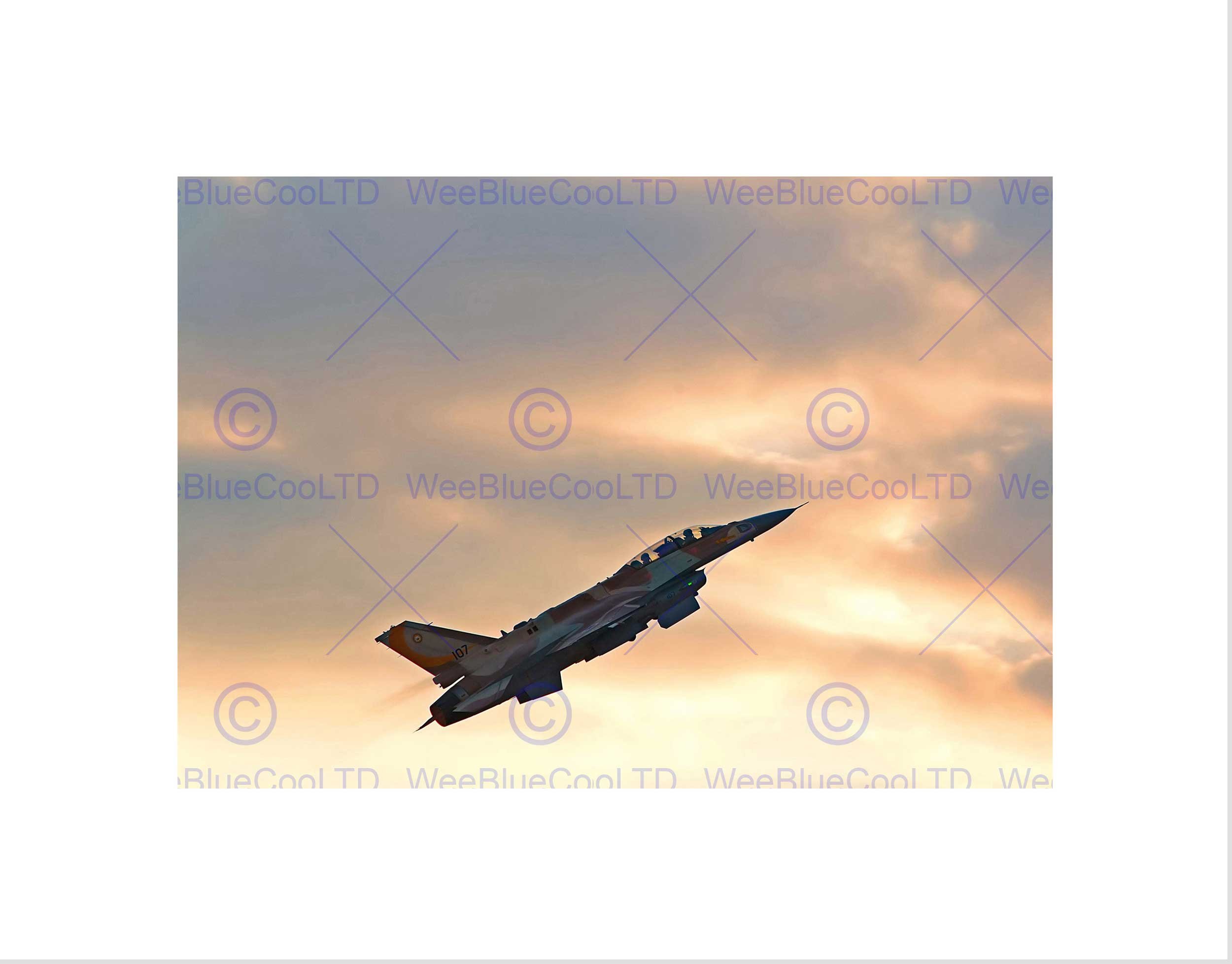 Wee Blue Coo Military Air Plane Fighter Jet F16i Storm Israel Viper Wall Art Print