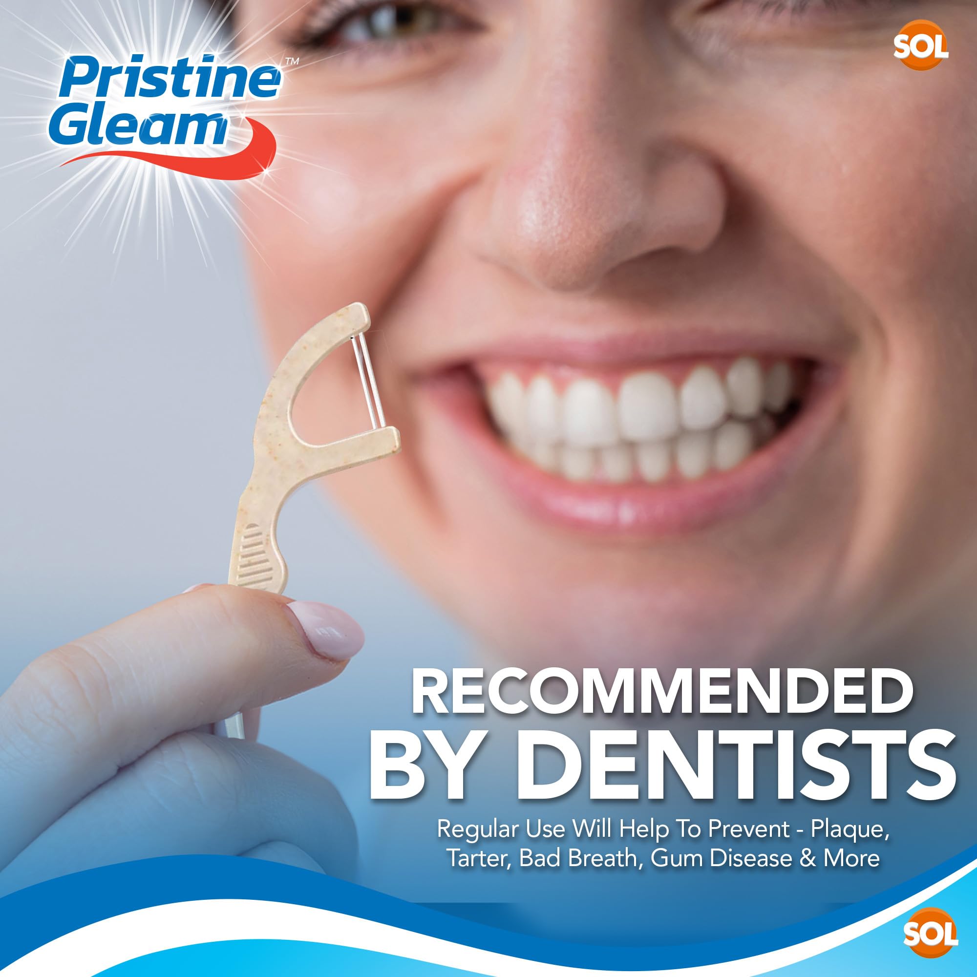 SOL 160pk Corn Starch Floss Picks, Dental Flossers Sticks for Teeth, Prevents Tartar, Plaque, and Cavities, Perfect for Daily Oral Hygiene and Healthy Gums