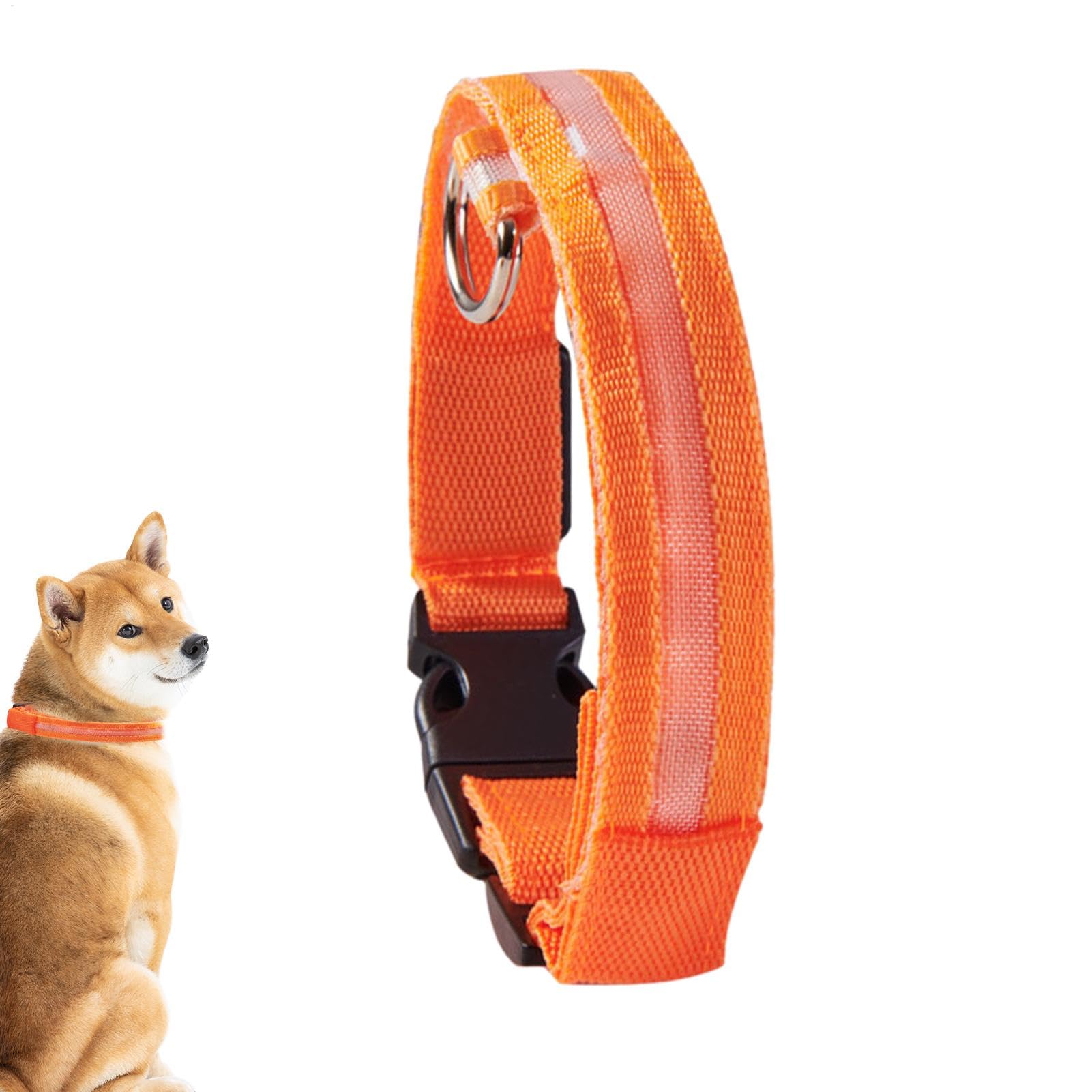 LED | Collare luminoso lampeggiante per cani, collari regolabili che | brillano al buio per cuccioli, cani di taglia media e piccola.