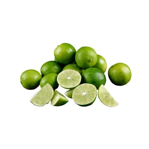 Hot Coupons - //medicalbooks.filipinodoctors.org