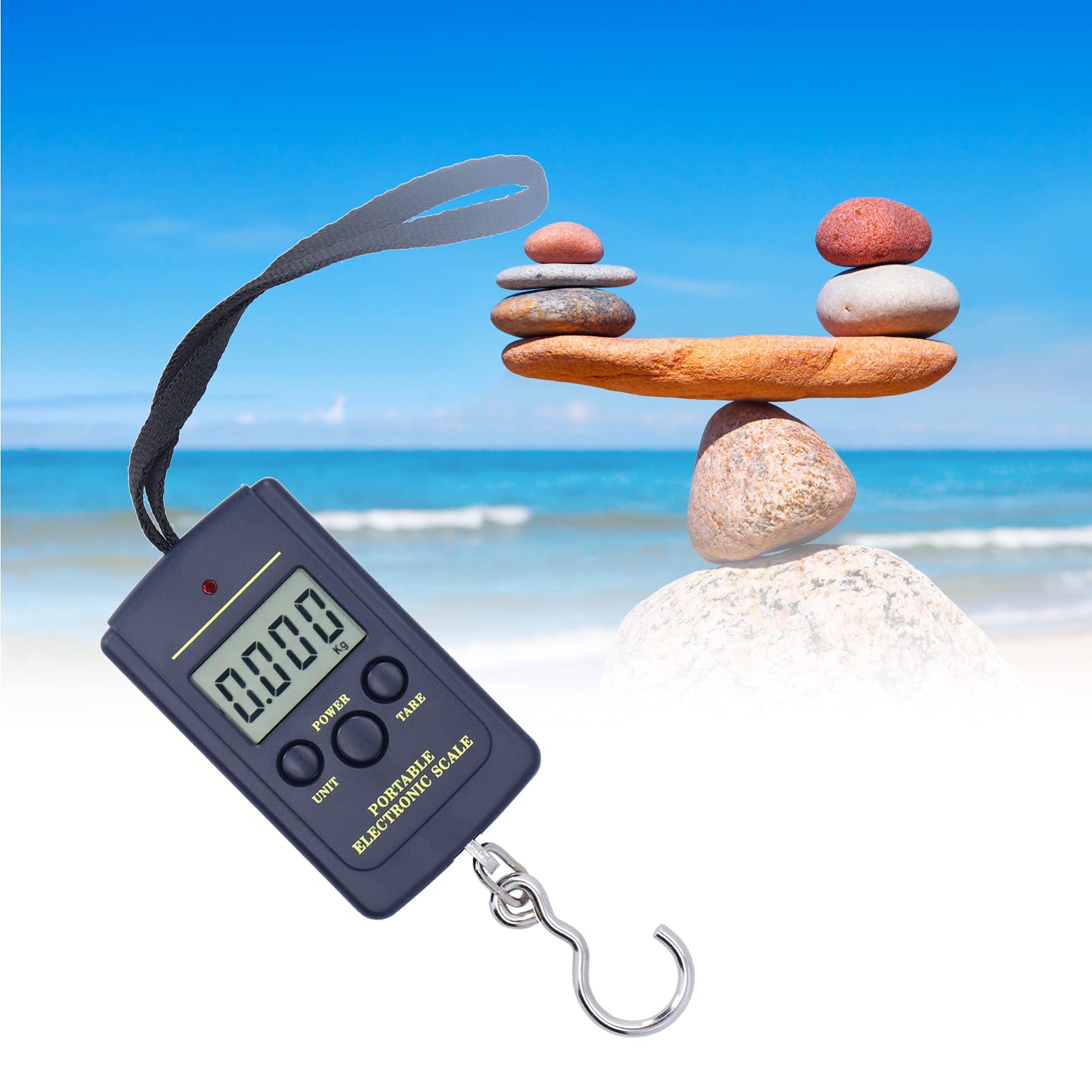 Balance électronique De Précision WT-K 1 Mg, Balance électronique De Précision