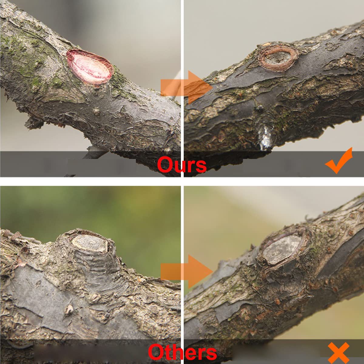 Coupeur concave - Coupeur de Branche de Bouton concave à Bord Rond Pointu Noir Professionnel, Outils de bonsaï de Jardin pour Le Jardinage paysager 210mm / 8.27 Pouces