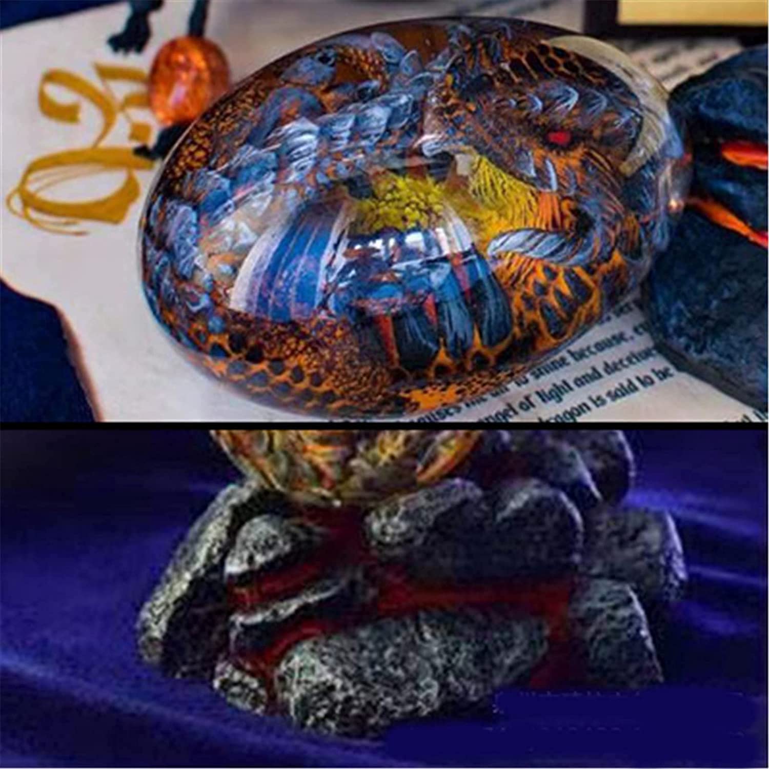 Amazon.co.jp: 龍の卵 ドラゴンエッグ リアルなドラゴンエッグが生まれ