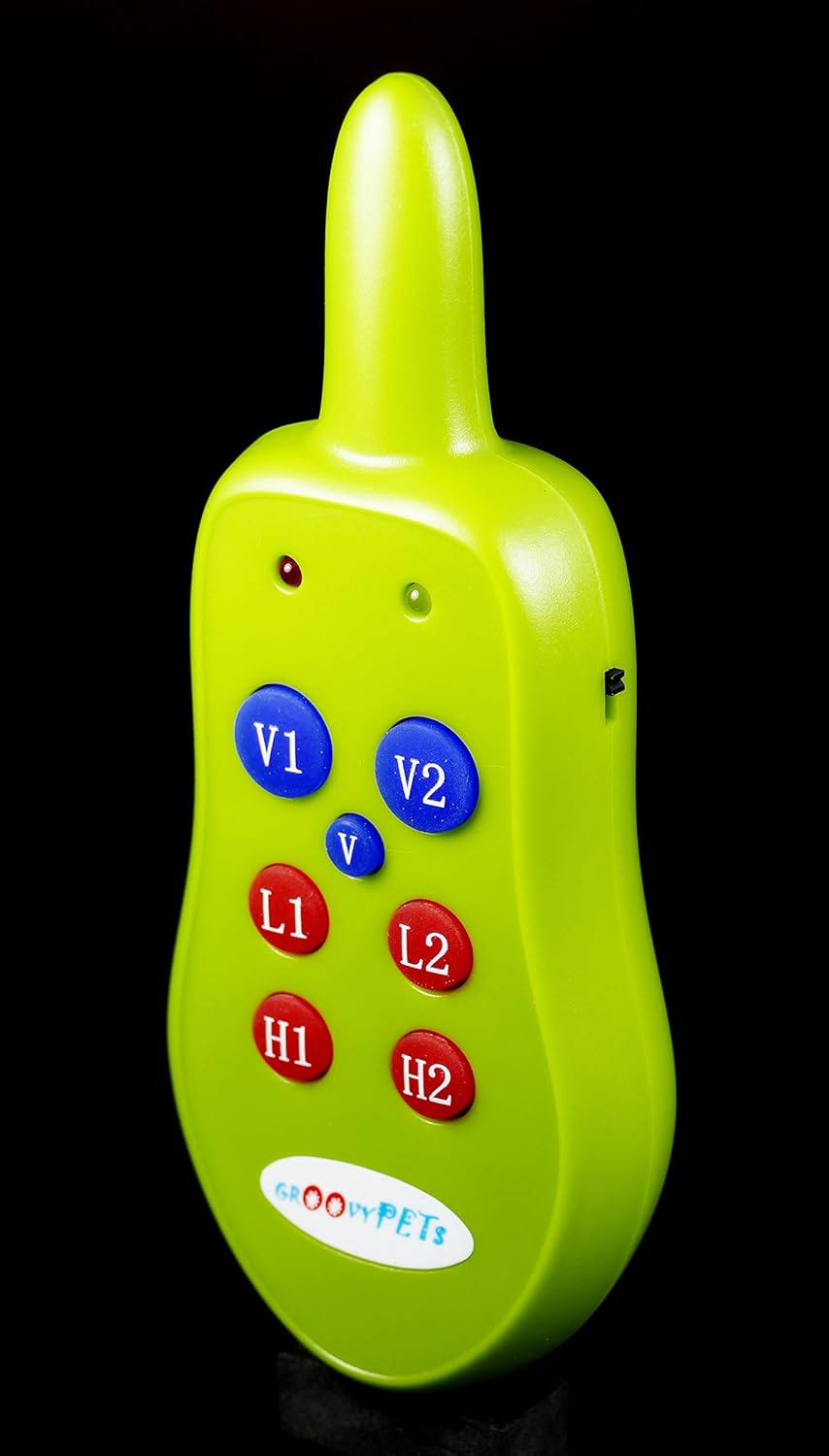 GROOVYPETS Remote Control Angled View