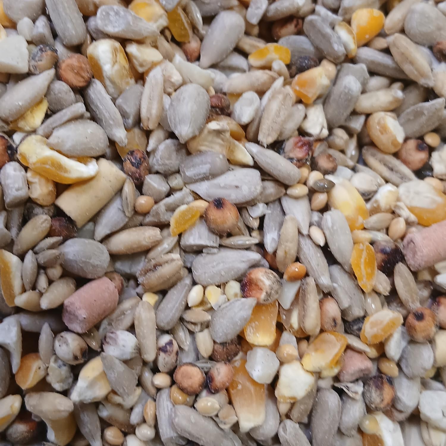 1 Kg Johnston & Jeff Premium Wild Bird Seed Wheat Free with Suet High Energy Mix for Garden Birds with Sunflower Hearts Peanuts Insects Berry Pellets for All Seasons Feeding