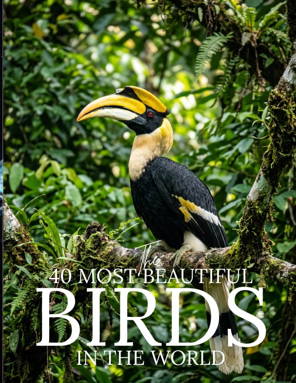 The 50 Most Beautiful Birds in the World: A Stunning Picture Book of the World’s Most Colorful Birds | Wildlife and Nature Book for Kids and Adults