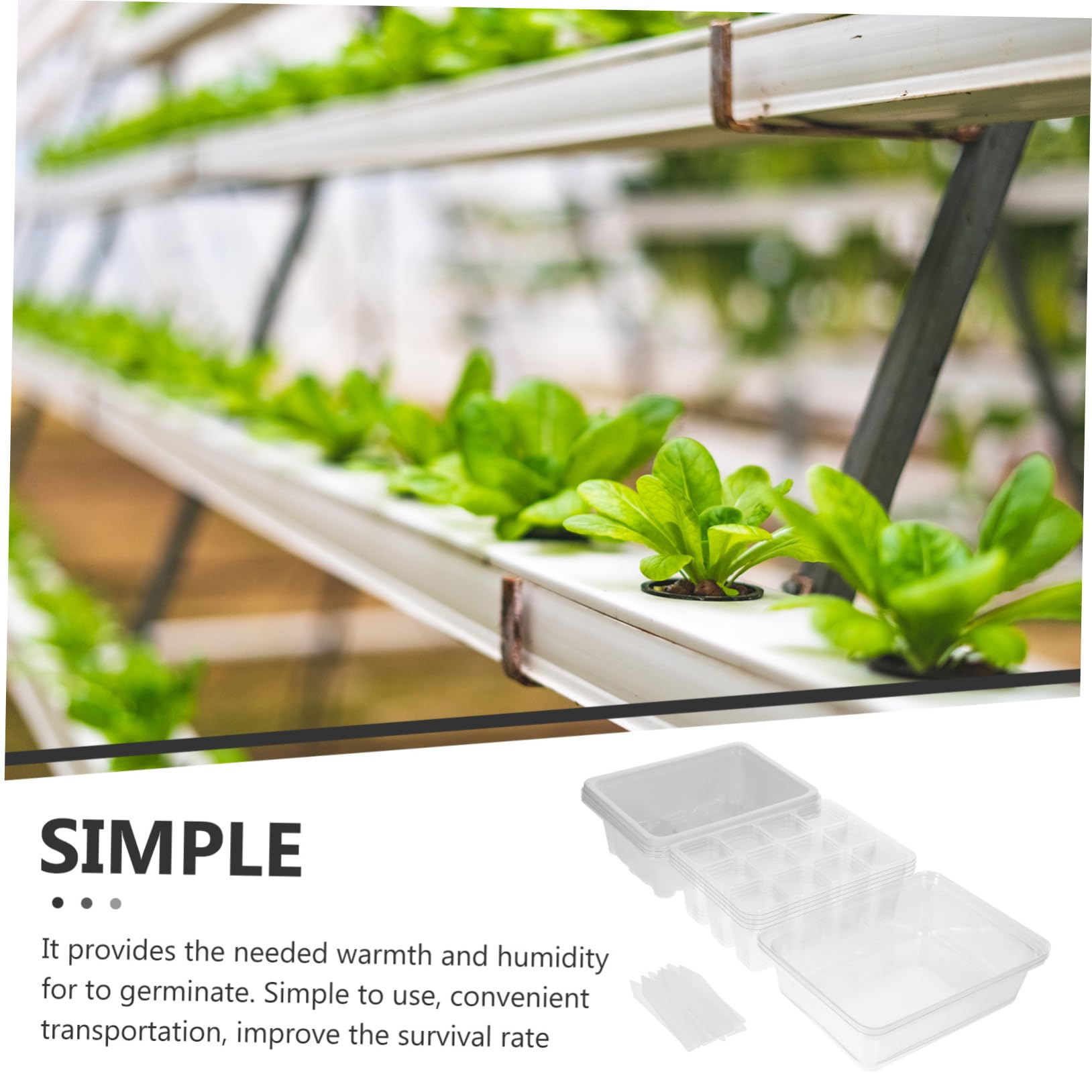 INOOMP 2juegos Bandeja De Germinación con Tapa para Plántulas De Huecos para Cultivar Semillas y Trasplantes Jardines y Huertos Kit Completo con Etiquetas De Plantas