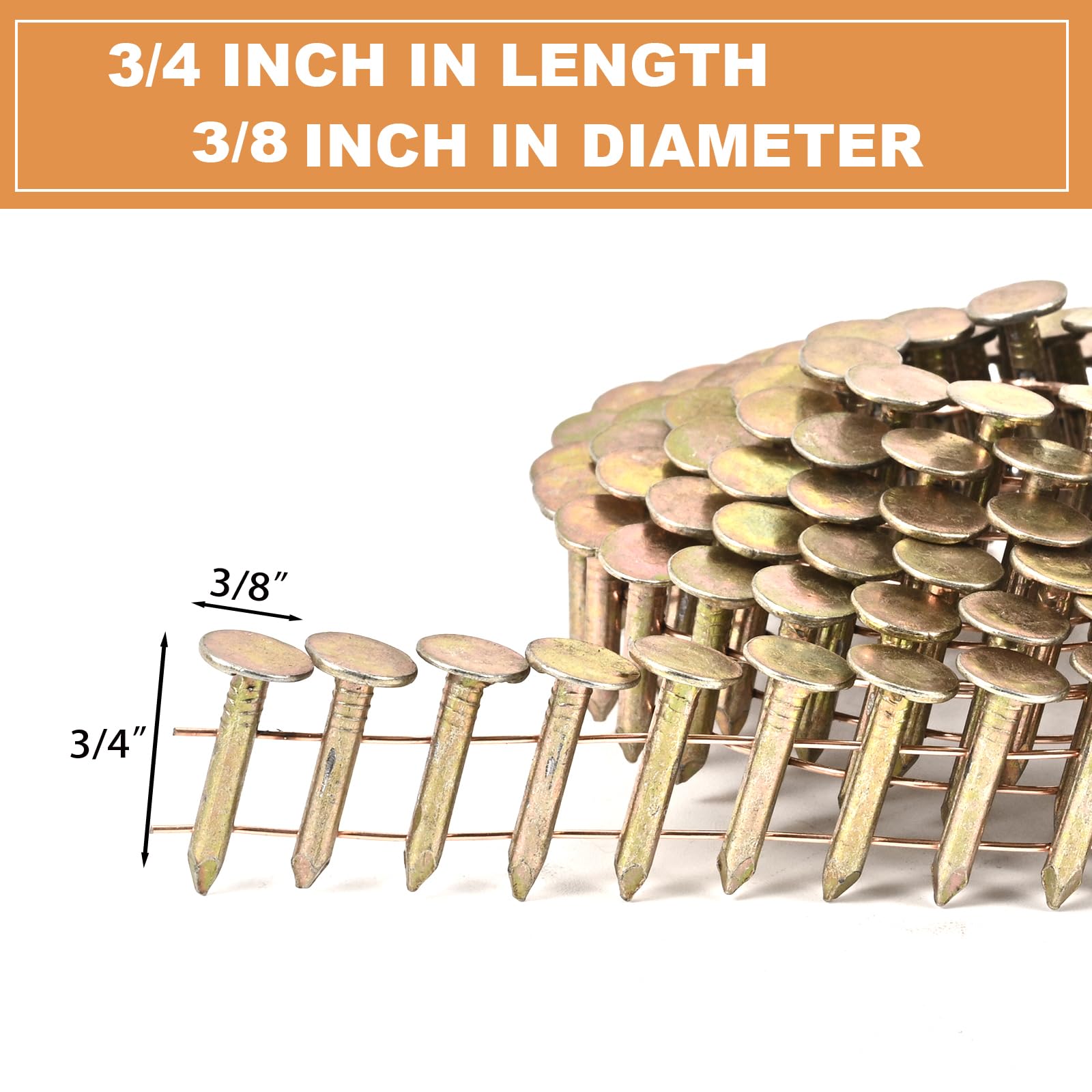 Roofing Nails - 3600 Count, Electro Galvanized -3