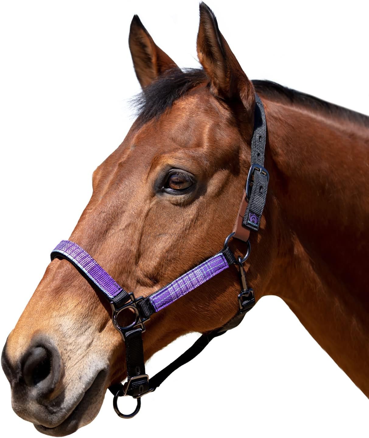 Kensington Premium Breakaway Halter with Padded Nose — Added Breakaway Safety Measures — Snap at Throat for Identical Fit Each Time