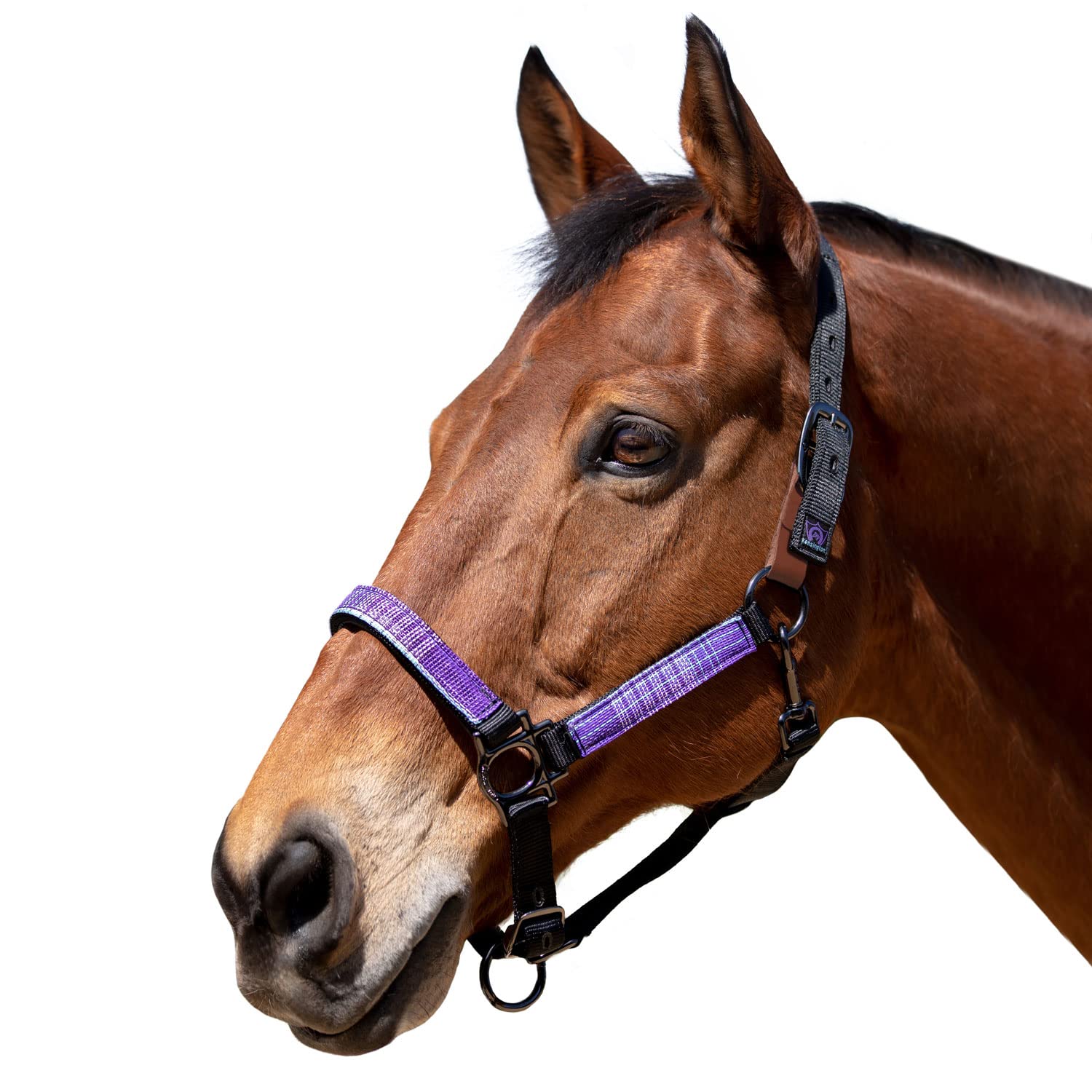 Kensington Premium Breakaway Halter with Padded Nose — Added Breakaway Safety Measures — Snap at Throat for Identical Fit Each Time