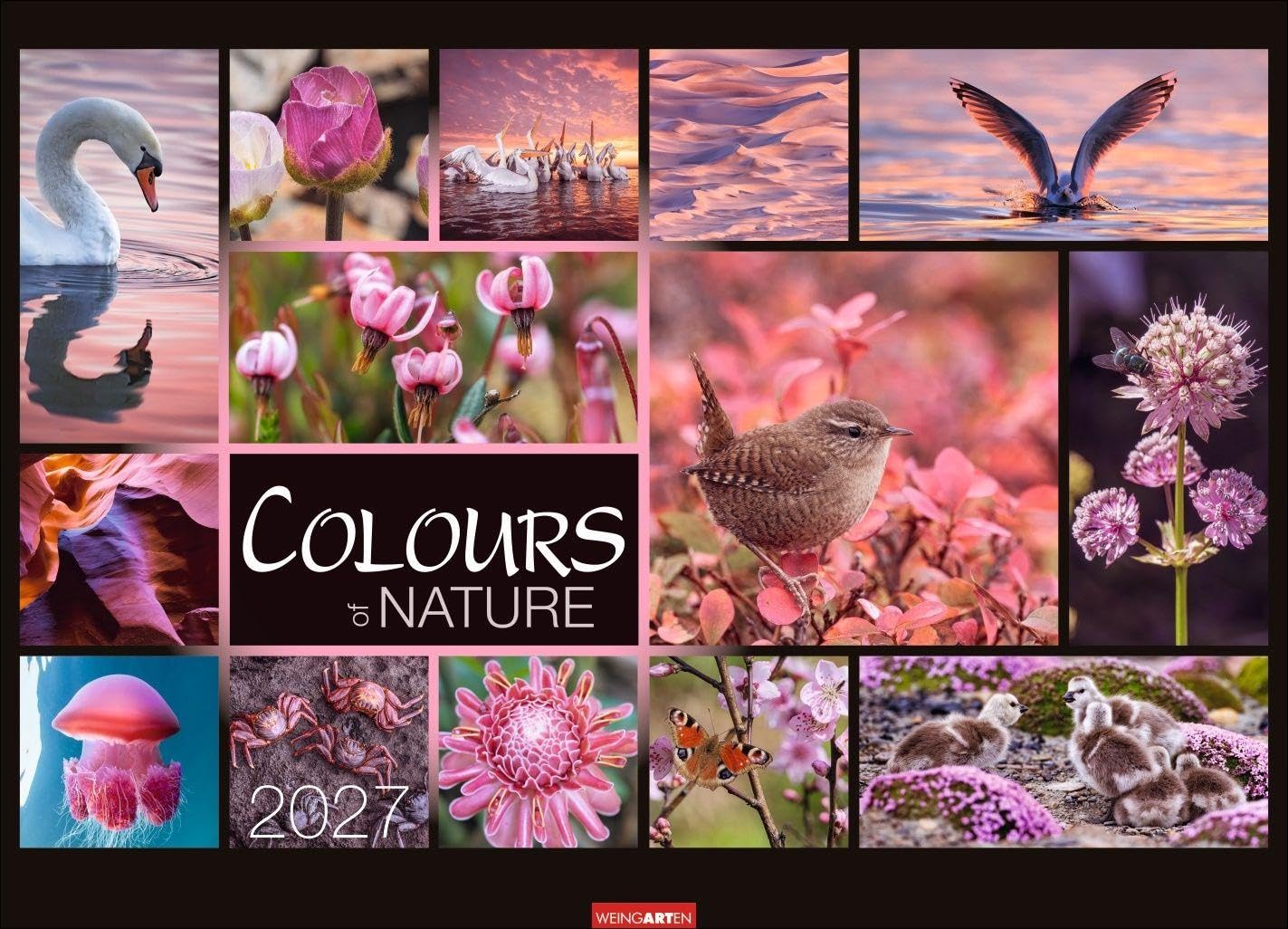 Colours of Nature Kalender 2027: Großer Foto-Wandkalender im Querformat 68 x 49 cm. Natur-Kalender 2027 mit harmonischen Bild- und Farbkompositionen für jeden Monat.