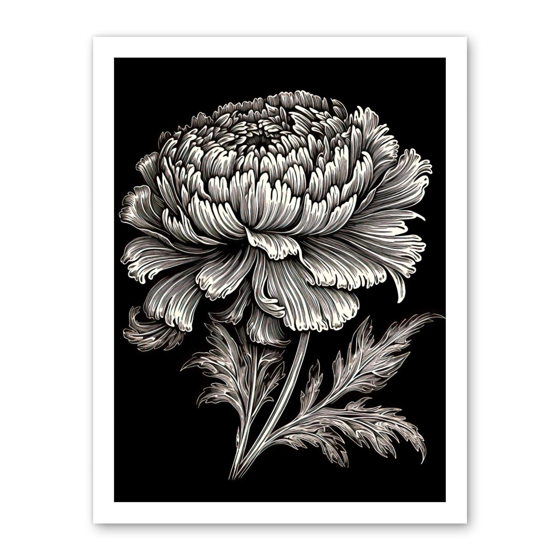 Artery8 A Single Marigold Flower Black and White Linocut Artwork Framed Wall Art Print 18X24 Inch