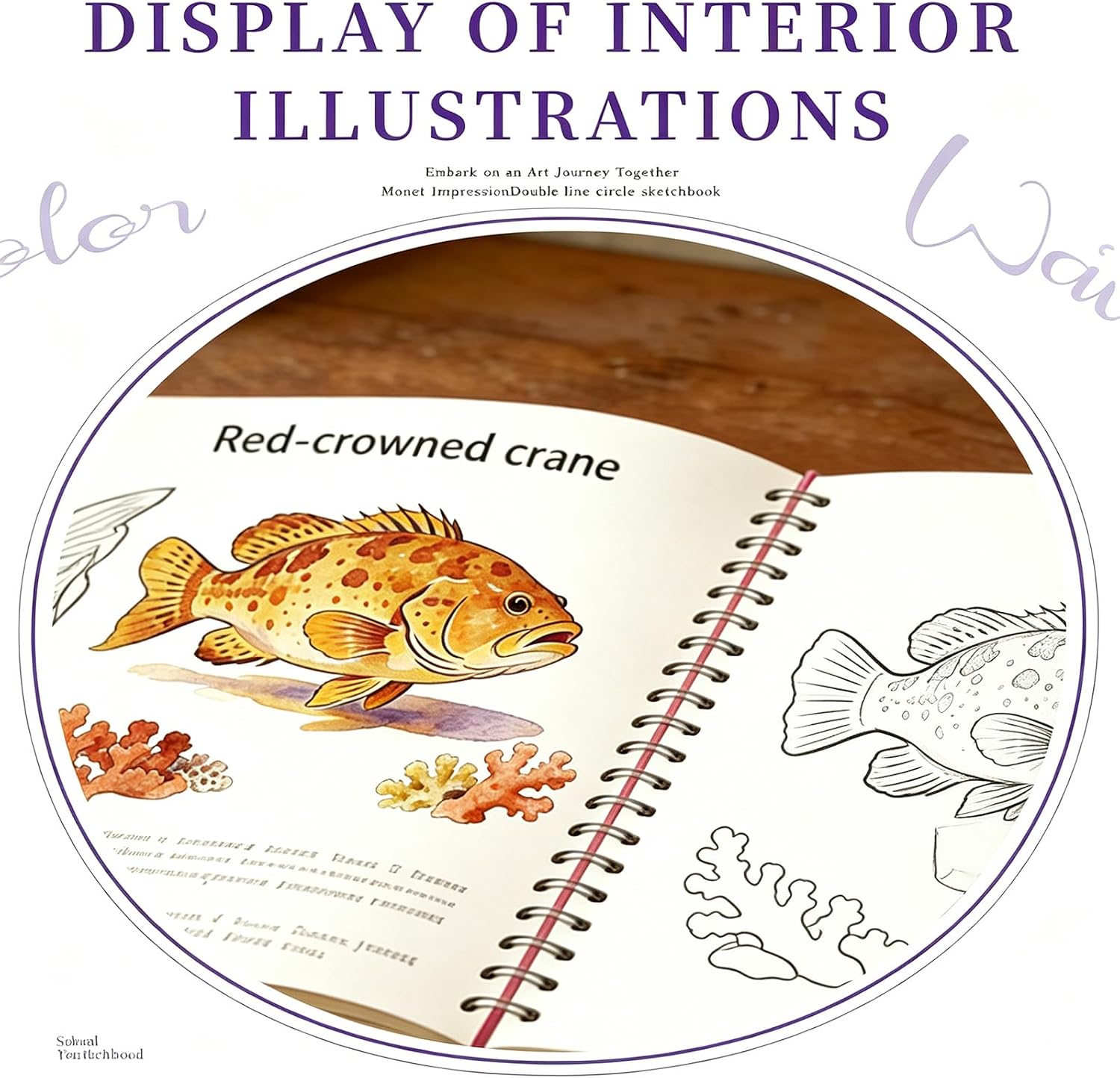 Watercolor Workbook & Watercolor Coloring Book, 14 Patterns of Original DIY Designs, 12 Colors Watercolor Paint Kit, Beginner-Friendly Water Color Workbooks for Adults & Teens (Marine Animals)