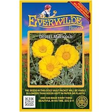Everwilde Farms - 1000 Desert Marigold Native Wildflower Seeds - Gold Vault Seed Packet