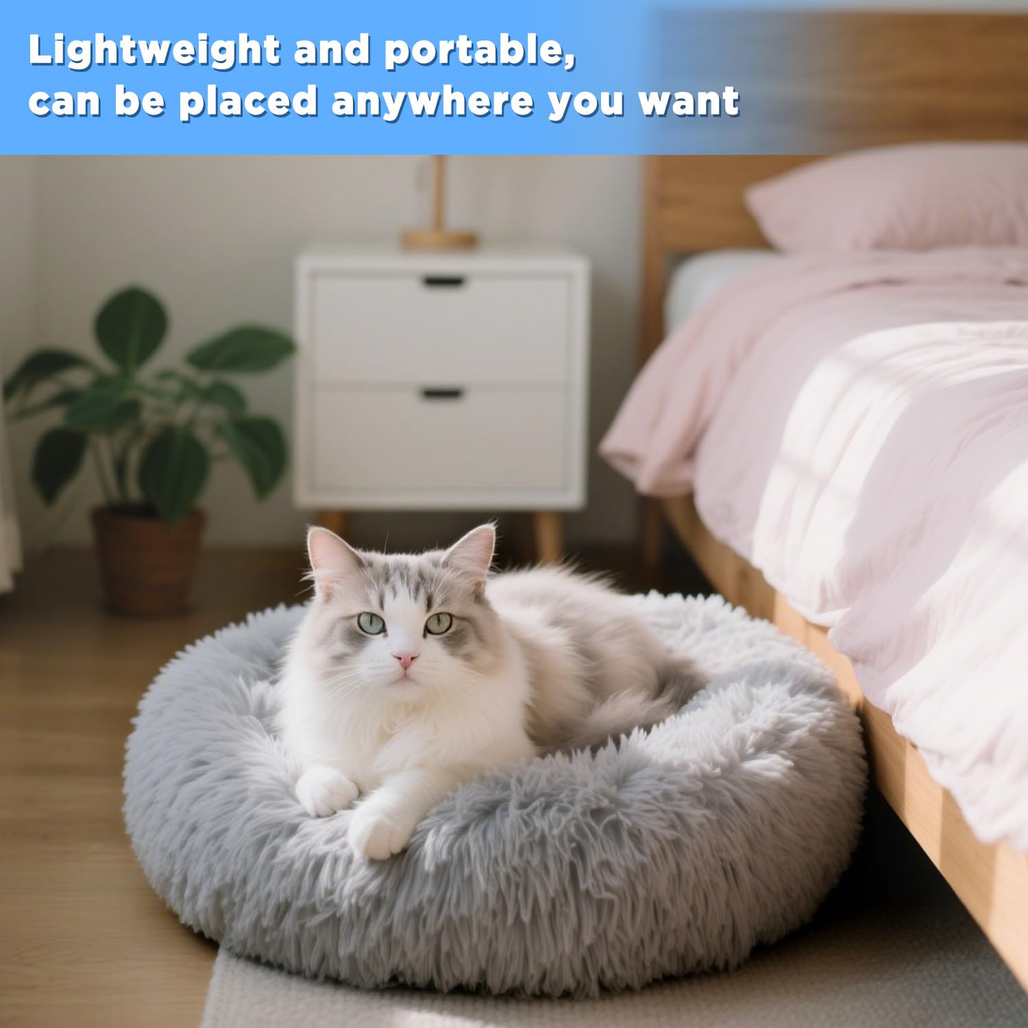 Dafencar Cuccia per Gatti, 50 x 30 x18 cm Cuccia Cane Interno, Lavabile, Adatto a Gatti, Cani di Piccola e Media Taglia
