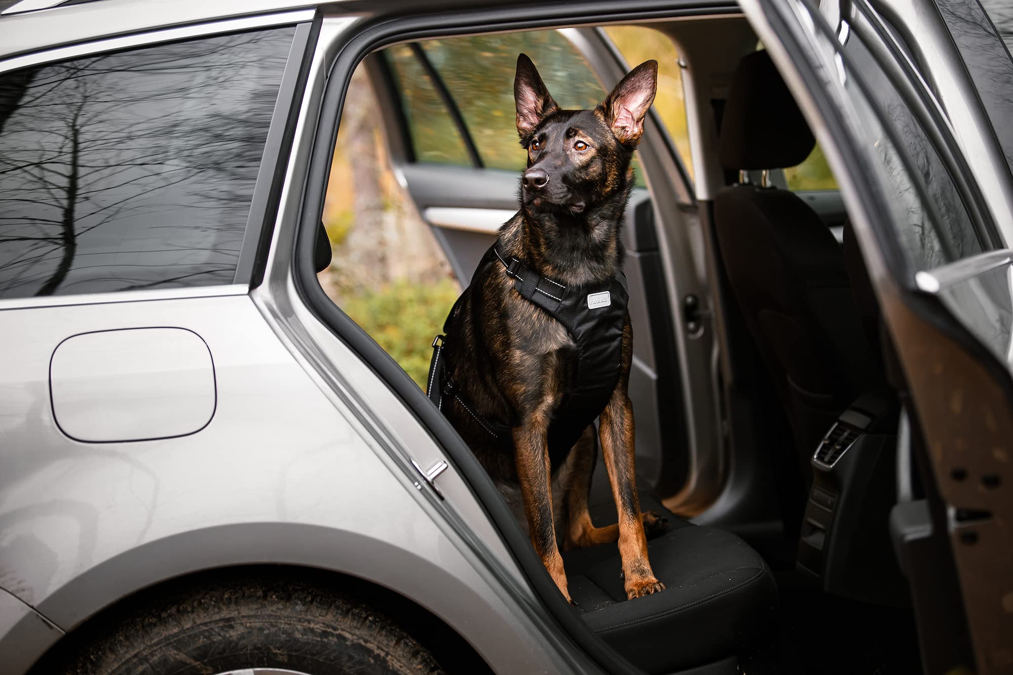 Rukka Mascotas Perro Arnés De Seguridad Correa Coche M