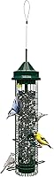 Brome Squirrel Buster Classic Squirrel-Proof Bird Feeder: 4 Ports, 2.4 lb Capacity, Chew-Proof Perches for Chickadees, Finches, Cardinals