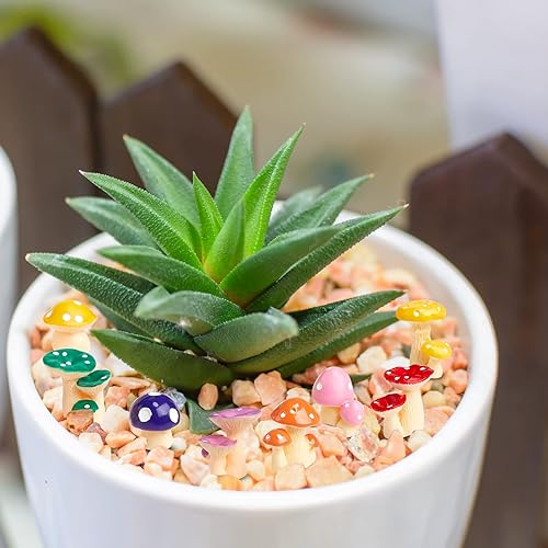 Miniatura 7 de Tatuo 160 piezas de mini hongos de resina, pequeñas setas a granel, figuras de hongos en miniatura para manualidades, hongos falsos, hadas, bonsái,